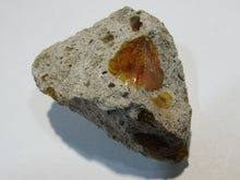 Laden Sie das Bild in den Galerie-Viewer, Opal Feueropal in Vulkangestein Canteras 5cm, Urecko Queretaro, Mexiko