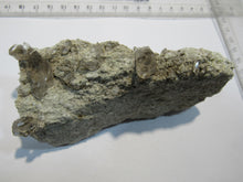 Laden Sie das Bild in den Galerie-Viewer, Rauchquarz Doppelender auf Granit 11cm 218g Riental Uri, Schweiz