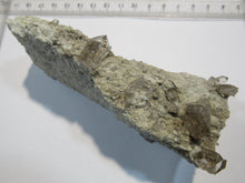Laden Sie das Bild in den Galerie-Viewer, Rauchquarz Doppelender auf Granit 11cm 218g Riental Uri, Schweiz