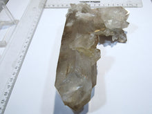 Laden Sie das Bild in den Galerie-Viewer, Rauchquarz XL Kristall Stufe Schwimmer 18cm Stubachtal Salzburg, Österreich