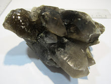 Laden Sie das Bild in den Galerie-Viewer, Rauchquarz Kristall Bündel Stufe mit Chlorit 12cm Sedrun Graubünden, Schweiz