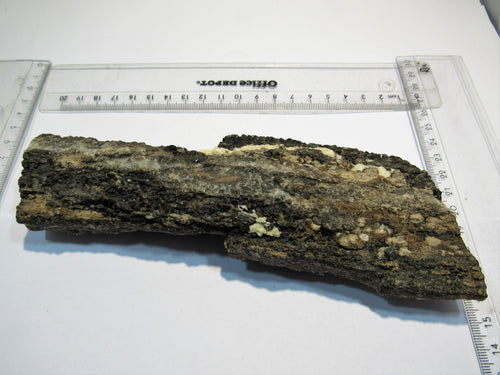Holz fossiles Holz Kieselholz mit Rauchquarz Morion 520g Kalifornien, USA