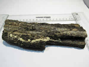 Holz fossiles Holz Kieselholz mit Rauchquarz Morion 520g Kalifornien, USA