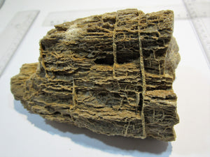 Holz Baryt Barytholz voll kristallisiert schwer 13cm Bad Sobernheim, Deutschland