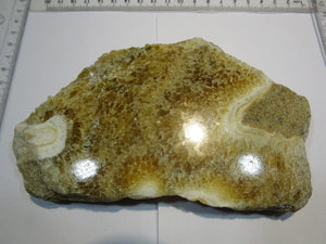 Calcit Honigcalcit Sinterkalk Kristallscheibe poliert 16cm Rüssingen Pfalz, Deutschland