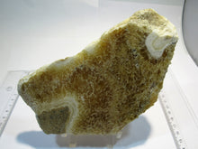 Laden Sie das Bild in den Galerie-Viewer, Calcit Honigcalcit Sinterkalk Kristallscheibe poliert 16cm Rüssingen Pfalz, Deutschland