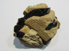 Laden Sie das Bild in den Galerie-Viewer, Rauchquarz Morion in Adular Orthoklas xx 6cm Matrix Galenstock Wallis, Schweiz