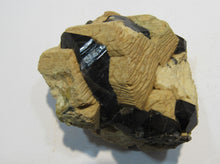 Laden Sie das Bild in den Galerie-Viewer, Rauchquarz Morion in Adular Orthoklas xx 6cm Matrix Galenstock Wallis, Schweiz