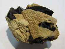 Laden Sie das Bild in den Galerie-Viewer, Rauchquarz Morion in Adular Orthoklas xx 6cm Matrix Galenstock Wallis, Schweiz