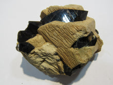 Laden Sie das Bild in den Galerie-Viewer, Rauchquarz Morion in Adular Orthoklas xx 6cm Matrix Galenstock Wallis, Schweiz
