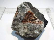 Laden Sie das Bild in den Galerie-Viewer, Calcit Rhomboeder Kristall Stufe mit Baryt rot 11cm Herdringen Sauerland, Deutschland