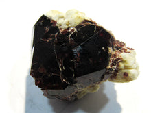 Laden Sie das Bild in den Galerie-Viewer, Granat roter Almandin Kristall auf Quarz 5cm Sondrio Lombardei, Italien