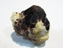 Laden Sie das Bild in den Galerie-Viewer, Granat roter Almandin Kristall auf Quarz 5cm Sondrio Lombardei, Italien