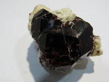 Laden Sie das Bild in den Galerie-Viewer, Granat roter Almandin Kristall auf Quarz 5cm Sondrio Lombardei, Italien