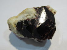 Laden Sie das Bild in den Galerie-Viewer, Granat roter Almandin Kristall auf Quarz 5cm Sondrio Lombardei, Italien