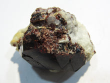 Laden Sie das Bild in den Galerie-Viewer, Granat roter Almandin Kristall auf Quarz 5cm Sondrio Lombardei, Italien