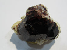 Laden Sie das Bild in den Galerie-Viewer, Granat roter Almandin Kristall auf Quarz 5cm Sondrio Lombardei, Italien