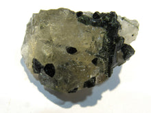Laden Sie das Bild in den Galerie-Viewer, Turmalin feine grüne Kristalle in derben Bergkristall 4,5cm Minas Geraus, Brasilien