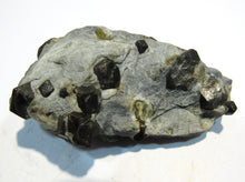 Laden Sie das Bild in den Galerie-Viewer, Granat Almandin dunkel rote Kristalle in Matrix 7cm Zillertal Nord-Tirol, Österreich