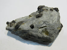 Laden Sie das Bild in den Galerie-Viewer, Granat Almandin dunkel rote Kristalle in Matrix 7cm Zillertal Nord-Tirol, Österreich