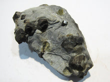 Laden Sie das Bild in den Galerie-Viewer, Granat Almandin dunkel rote Kristalle in Matrix 7cm Zillertal Nord-Tirol, Österreich