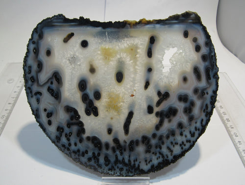 Achat edle XL Geode-Scheibe mit Druse geschnitten poliert 270g, Brasilien