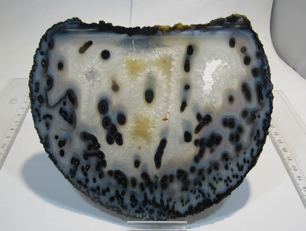 Achat edle XL Geode-Scheibe mit Druse geschnitten poliert 270g, Brasilien