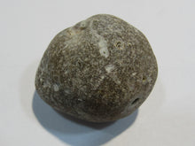 Laden Sie das Bild in den Galerie-Viewer, Klapperstein sehr laut Flint Hohlstein +Schwamm 4cm Kreide Normandie, Frankreich