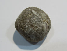 Laden Sie das Bild in den Galerie-Viewer, Klapperstein sehr laut Flint Hohlstein +Schwamm 4cm Kreide Normandie, Frankreich