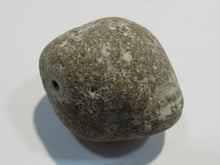 Laden Sie das Bild in den Galerie-Viewer, Klapperstein sehr laut Flint Hohlstein +Schwamm 4cm Kreide Normandie, Frankreich
