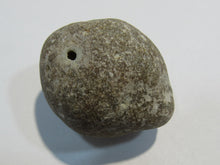 Laden Sie das Bild in den Galerie-Viewer, Klapperstein sehr laut Flint Hohlstein +Schwamm 4cm Kreide Normandie, Frankreich