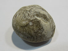Laden Sie das Bild in den Galerie-Viewer, Klapperstein besonders laut Flint Hohlstein +Schwamm 3,5cm Kreide Normandie, Frankreich
