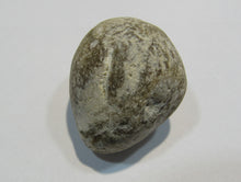 Laden Sie das Bild in den Galerie-Viewer, Klapperstein besonders laut Flint Hohlstein +Schwamm 3,5cm Kreide Normandie, Frankreich