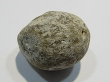 Laden Sie das Bild in den Galerie-Viewer, Klapperstein besonders laut Flint Hohlstein +Schwamm 3,5cm Kreide Normandie, Frankreich