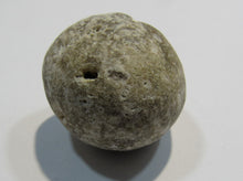 Laden Sie das Bild in den Galerie-Viewer, Klapperstein besonders laut Flint Hohlstein +Schwamm 3,5cm Kreide Normandie, Frankreich