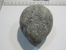 Laden Sie das Bild in den Galerie-Viewer, Klapperstein laut 7cm Flint Feuerstein Schwamm Kreide Normandie, Frankreich