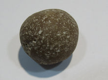 Laden Sie das Bild in den Galerie-Viewer, Klapperstein laut Flint Hohlstein +Schwamm 3,5cm 22g Kreide Normandie, Frankreich
