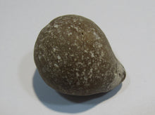 Laden Sie das Bild in den Galerie-Viewer, Klapperstein laut Flint Hohlstein +Schwamm 3,5cm 22g Kreide Normandie, Frankreich