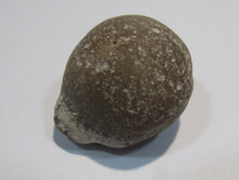 Laden Sie das Bild in den Galerie-Viewer, Klapperstein laut Flint Hohlstein +Schwamm 3,5cm 22g Kreide Normandie, Frankreich