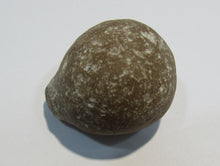 Laden Sie das Bild in den Galerie-Viewer, Klapperstein laut Flint Hohlstein +Schwamm 3,5cm 22g Kreide Normandie, Frankreich