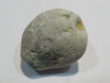 Laden Sie das Bild in den Galerie-Viewer, Klapperstein laut Flint weiß Hohlstein +Schwamm 3cm 17g Kreide Normandie, Frankreich