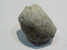 Laden Sie das Bild in den Galerie-Viewer, Klapperstein laut Flint weiß Hohlstein +Schwamm 3cm 17g Kreide Normandie, Frankreich