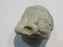Laden Sie das Bild in den Galerie-Viewer, Klapperstein laut Flint weiß Hohlstein +Schwamm 3cm 17g Kreide Normandie, Frankreich