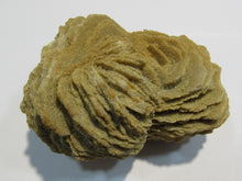 Laden Sie das Bild in den Galerie-Viewer, Baryt Schwimmer Sandrose Schwerspat 7cm Rockenberg, Deutschland