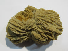 Laden Sie das Bild in den Galerie-Viewer, Baryt Schwimmer Sandrose Schwerspat 7cm Rockenberg, Deutschland