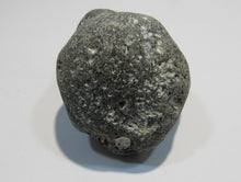 Laden Sie das Bild in den Galerie-Viewer, Klapperstein laut Flint Hohlstein +Schwamm 6 cm Kreide Normandie, Frankreich