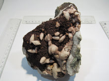 Laden Sie das Bild in den Galerie-Viewer, Calcit Skalenoeder xx auf Quarz mit Hämatit 14cm Bad Bleiberg Kärnten, Österreich