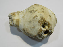 Laden Sie das Bild in den Galerie-Viewer, Klapperstein laut Dm5x8cm weiß braun Flint Schwamm Kreide Normandie, Frankreich