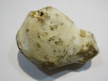Laden Sie das Bild in den Galerie-Viewer, Klapperstein laut Dm5x8cm weiß braun Flint Schwamm Kreide Normandie, Frankreich