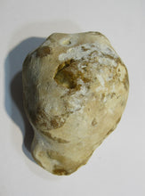 Laden Sie das Bild in den Galerie-Viewer, Klapperstein laut Dm5x8cm weiß braun Flint Schwamm Kreide Normandie, Frankreich